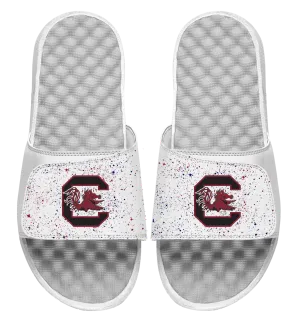 South Carolina Primary Speckle Slides