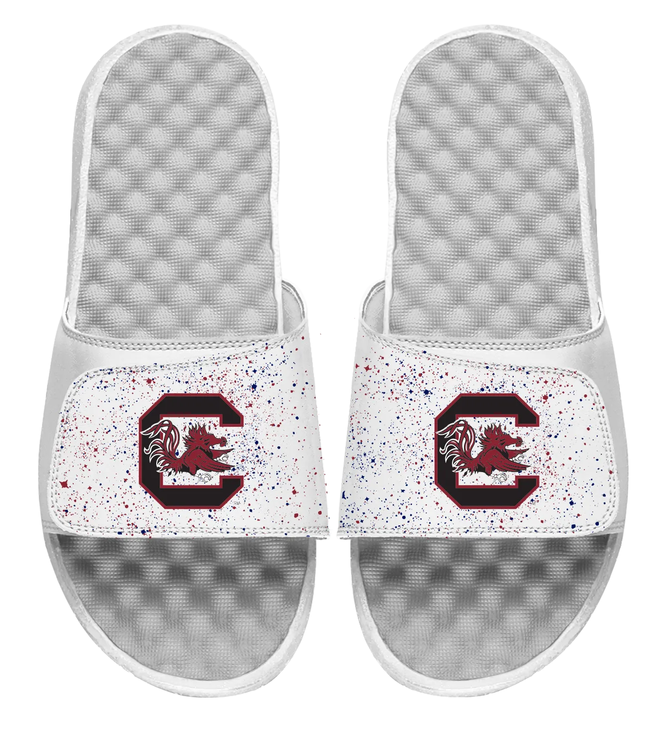 South Carolina Primary Speckle Slides