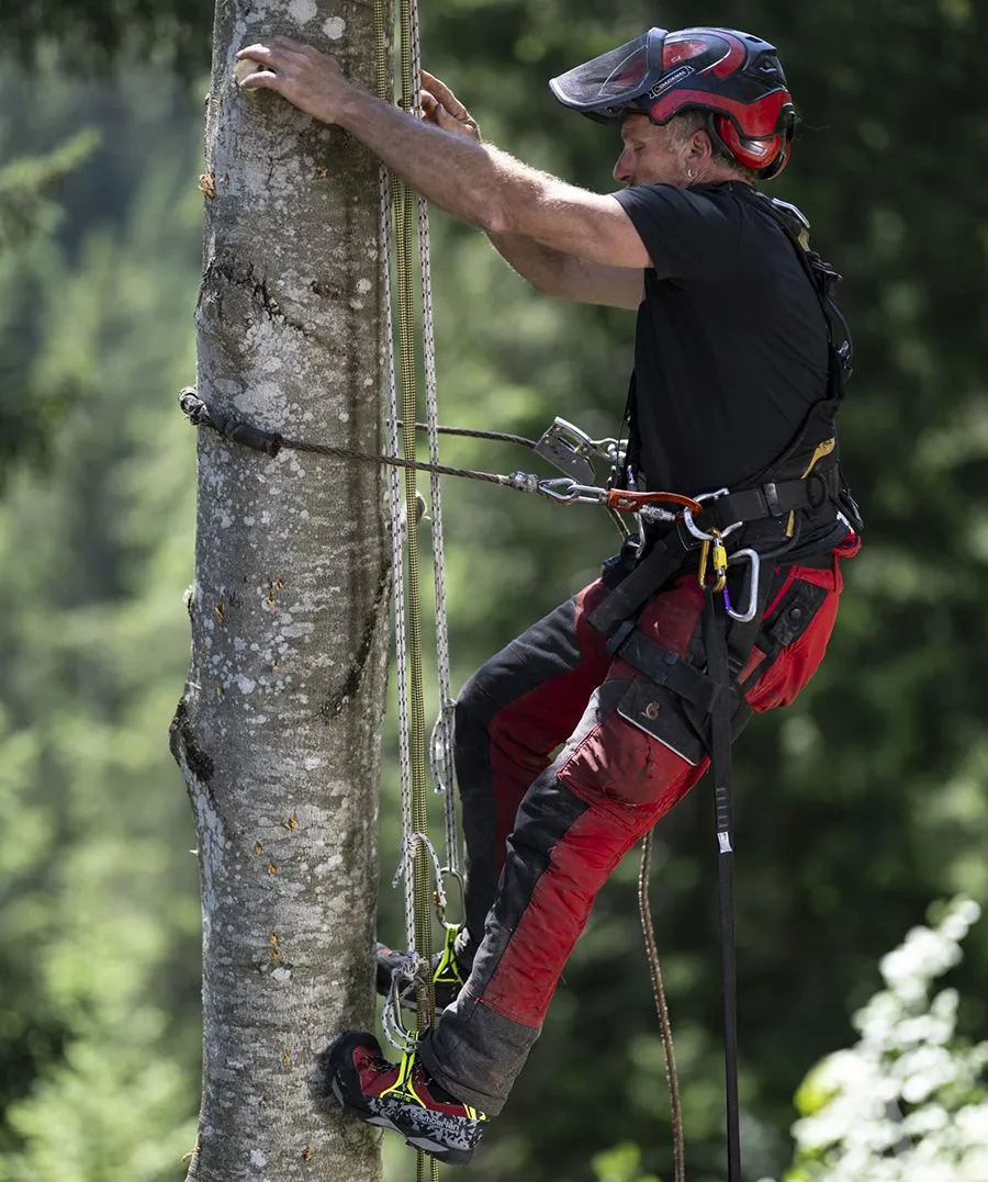 Zamberlan TREELOGY GTX Tree Climbing Work Boot